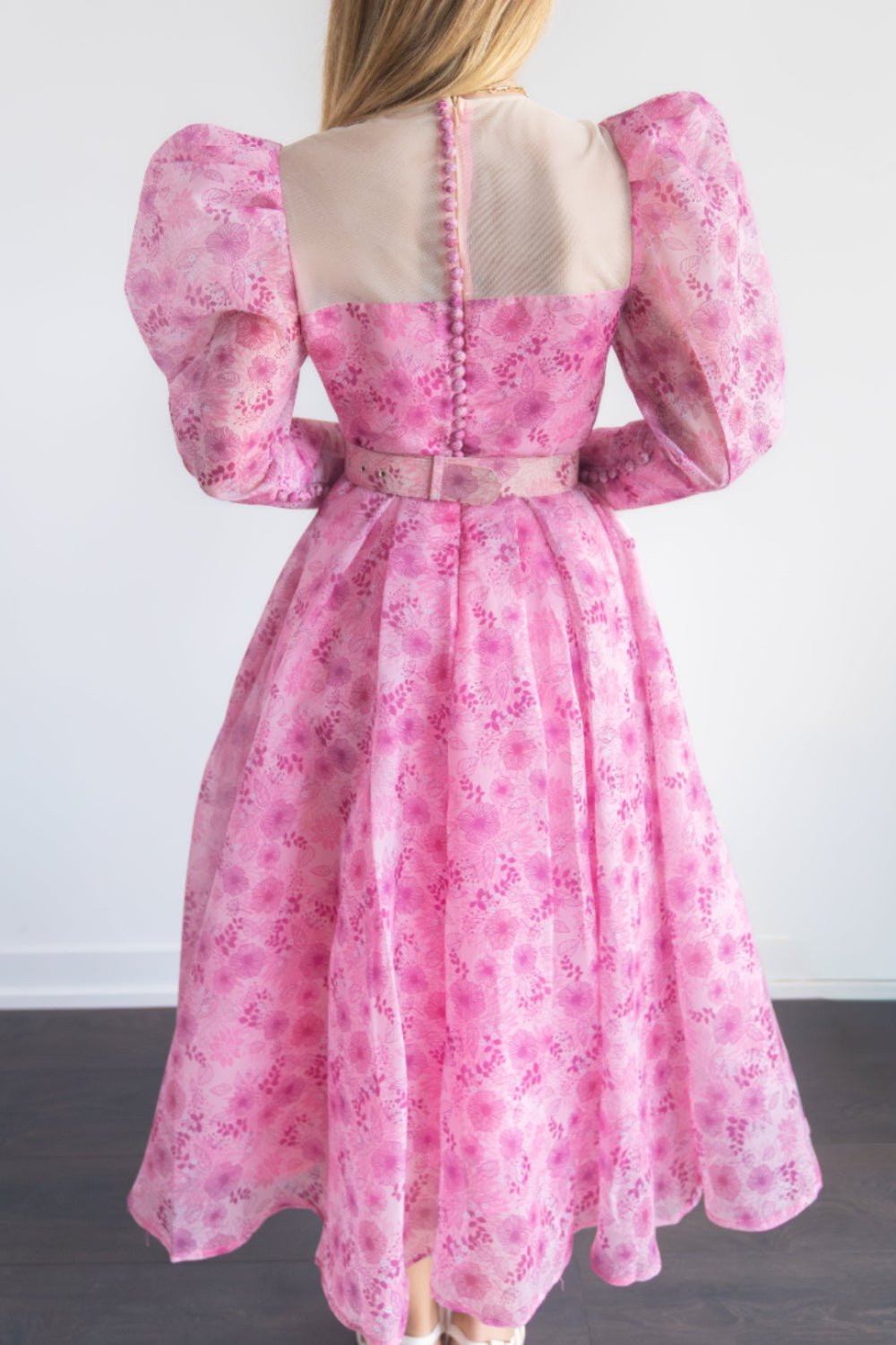 Dreamy Puff Sleeves  Dress